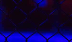 Robert Whittaker's Reflective Journey: A Path to Redemption